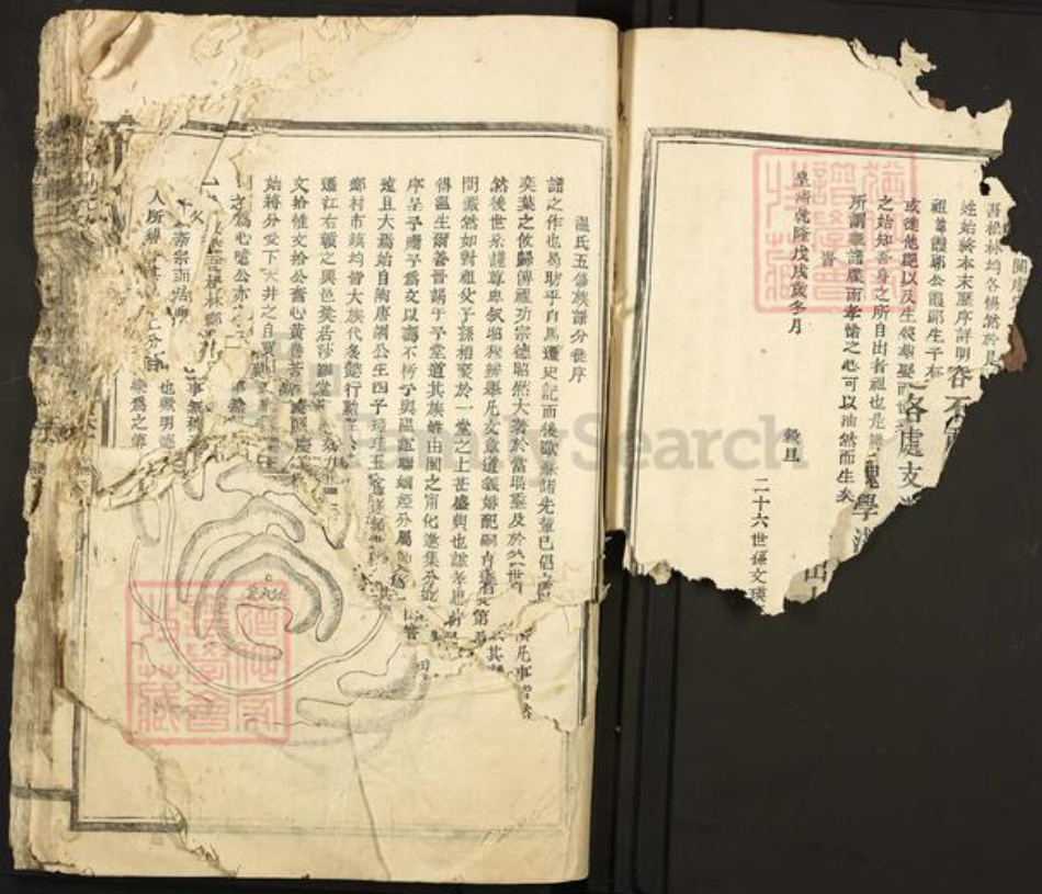 江西省赣州市石城县温氏族谱-太原温氏.pdf电子版插图5