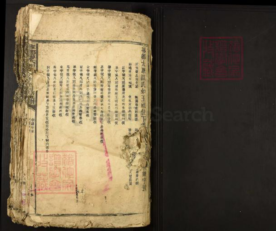 江西省赣州市宁都县温氏族谱-宁都温氏如玉祖合修首届族谱.pdf电子版插图1