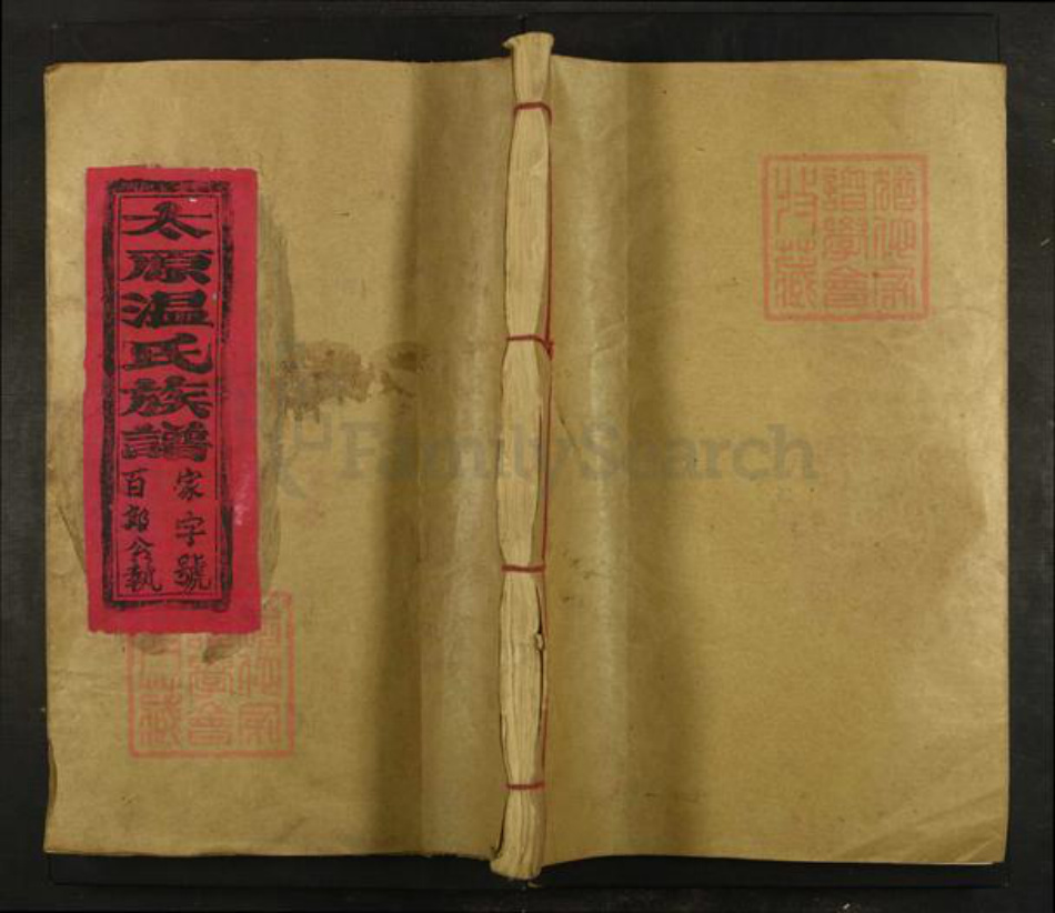 福建省三明市宁化县中沙乡温氏族谱-宁化太原温氏族谱.pdf电子版