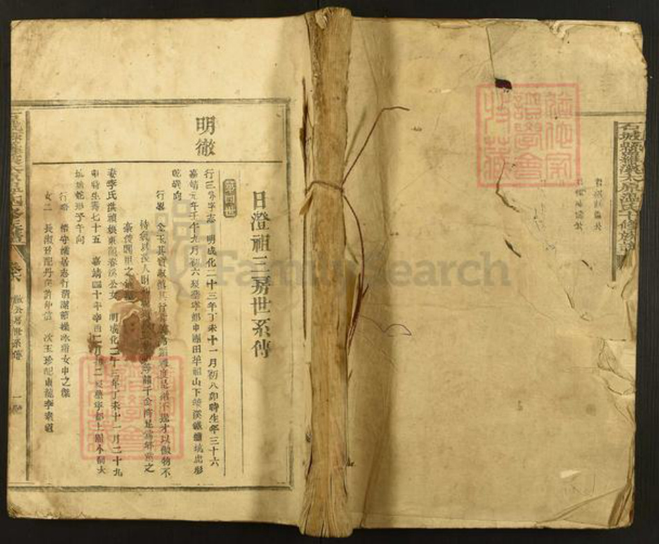 江西省赣州市石城县小松镇温氏族谱-石城县罗溪太原温氏十修族谱.pdf电子版