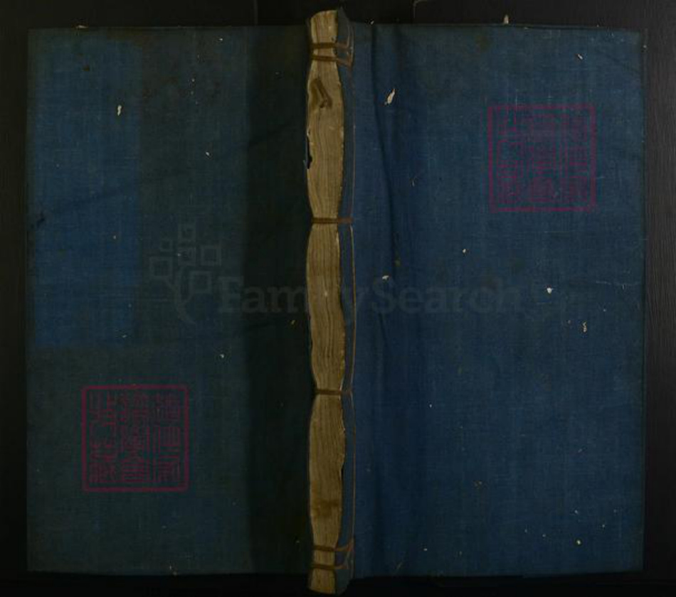 江西省温氏族谱-雩都温氏族谱.pdf电子版