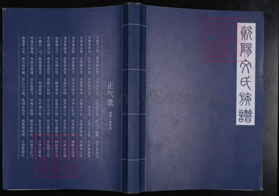 四川省资阳市雁江区文氏族谱-资阳文氏族谱.pdf电子版