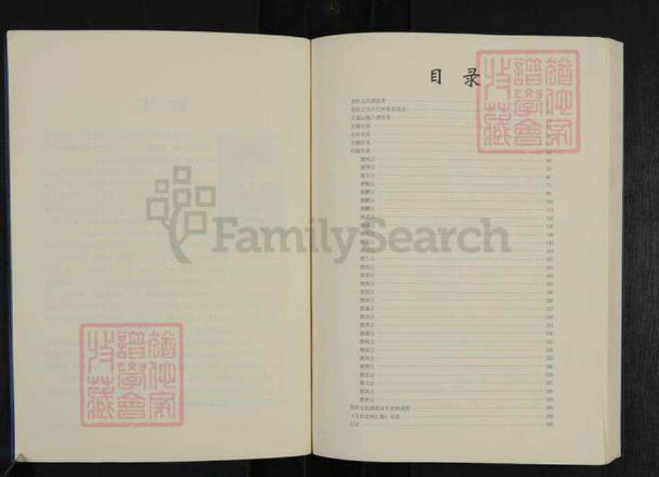 四川省资阳市雁江区文氏族谱-资阳文氏族谱.pdf电子版插图2