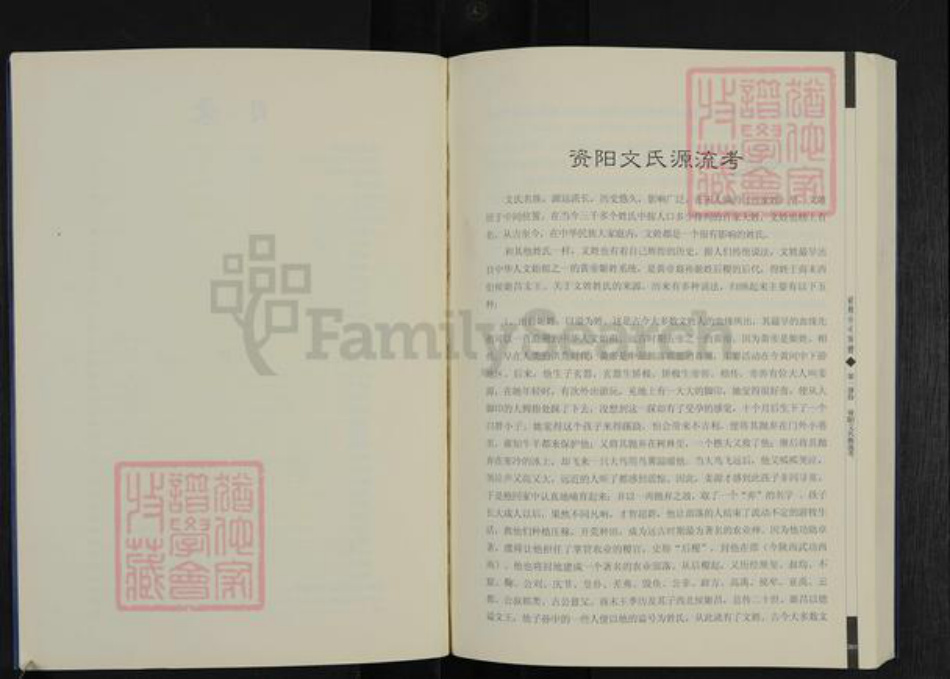 四川省资阳市雁江区文氏族谱-资阳文氏族谱.pdf电子版插图3