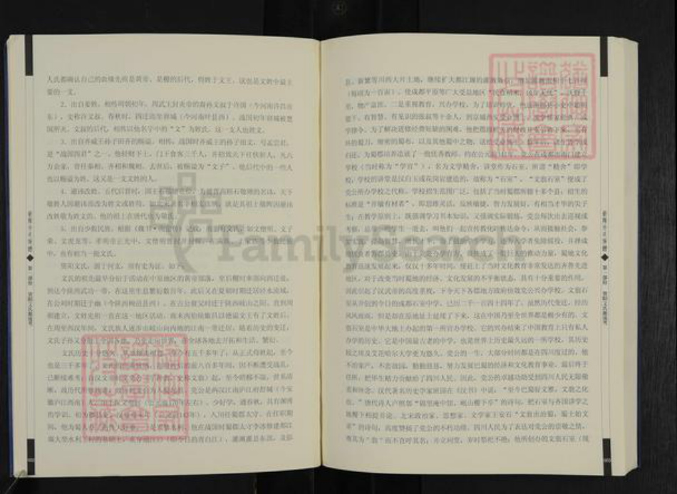 四川省资阳市雁江区文氏族谱-资阳文氏族谱.pdf电子版插图4