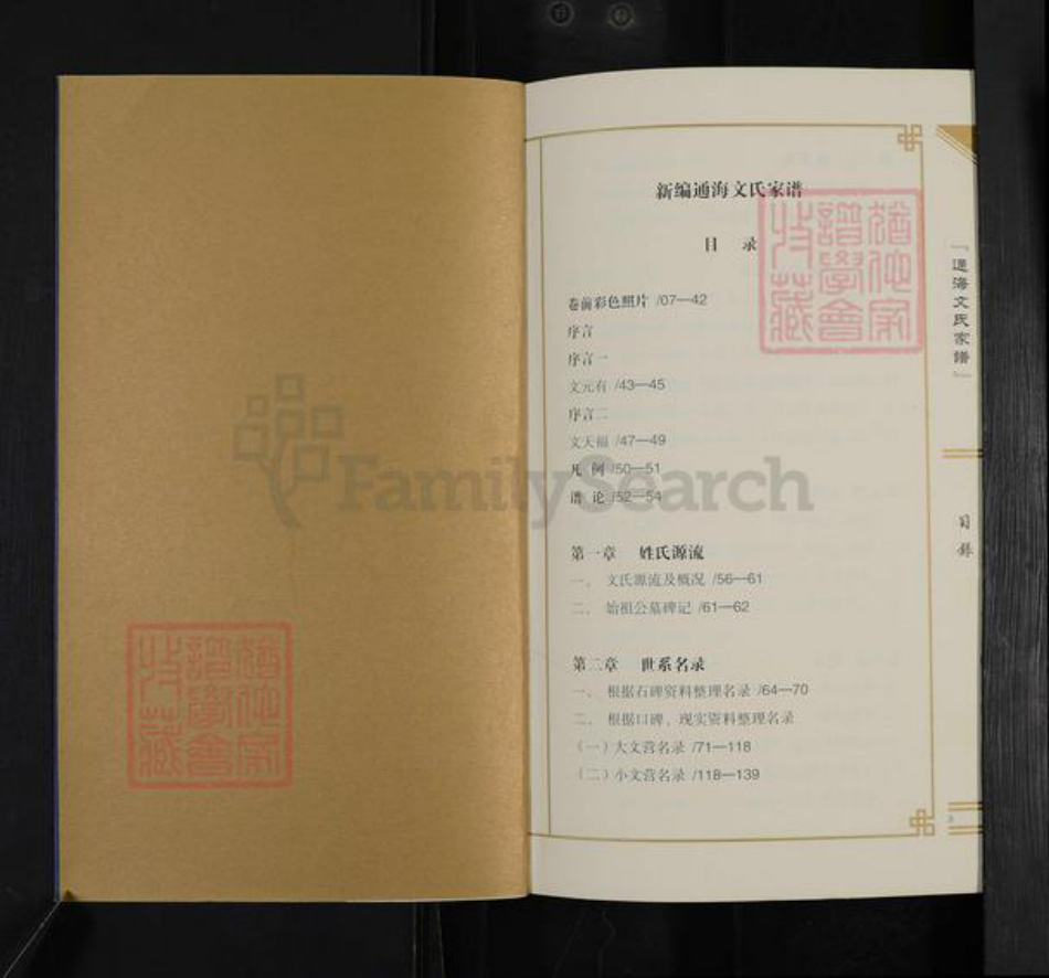 云南省玉溪市通海县文氏族谱-新编通海文氏家谱.pdf电子版插图2