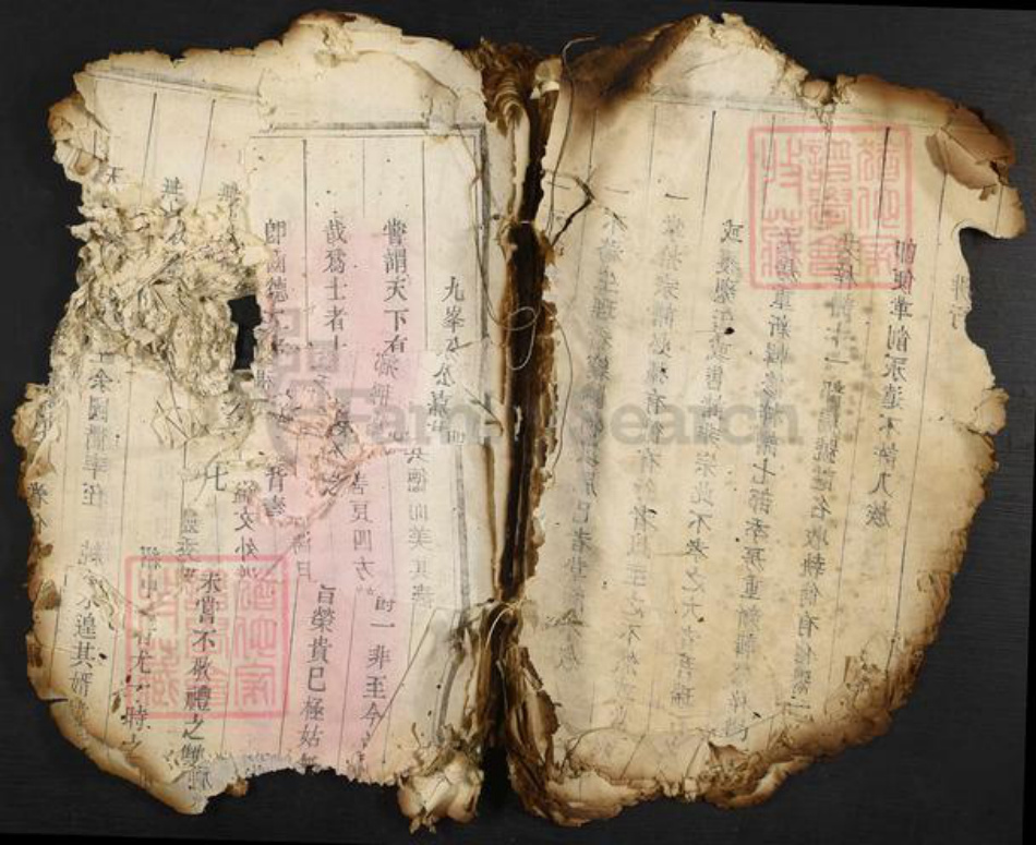 福建省莆田市翁氏族谱-翁氏族谱.pdf电子版