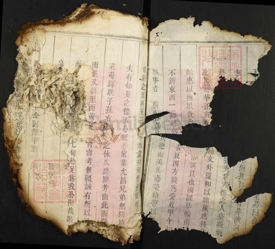 福建省莆田市翁氏族谱-翁氏族谱.pdf电子版插图2