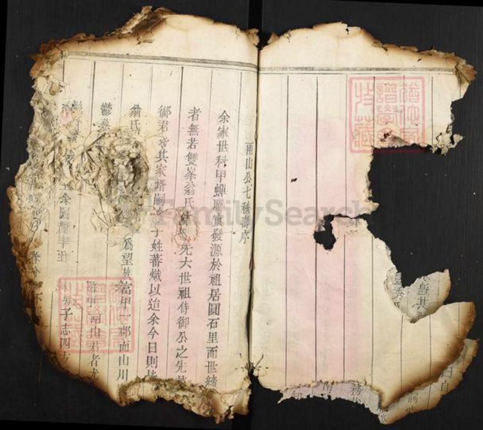 福建省莆田市翁氏族谱-翁氏族谱.pdf电子版插图5