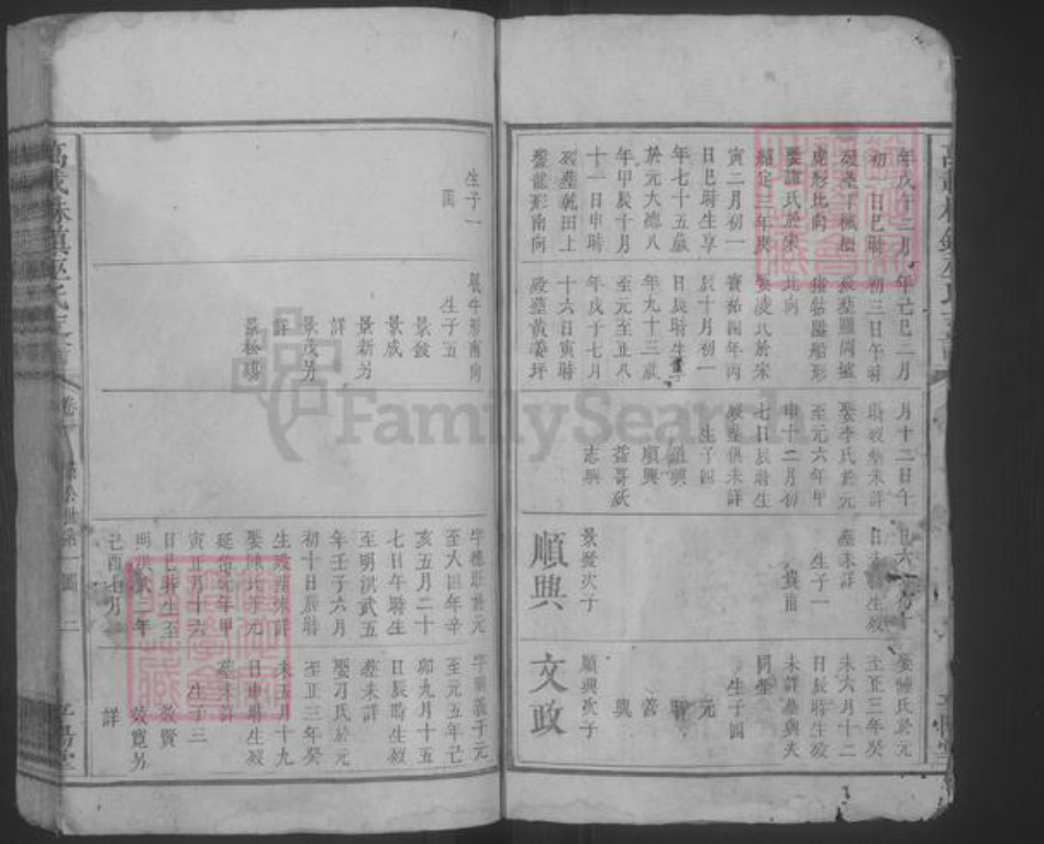 江西省宜春市万载县巫氏族谱-万载株镇巫氏支谱 [存卷1].pdf电子版插图2