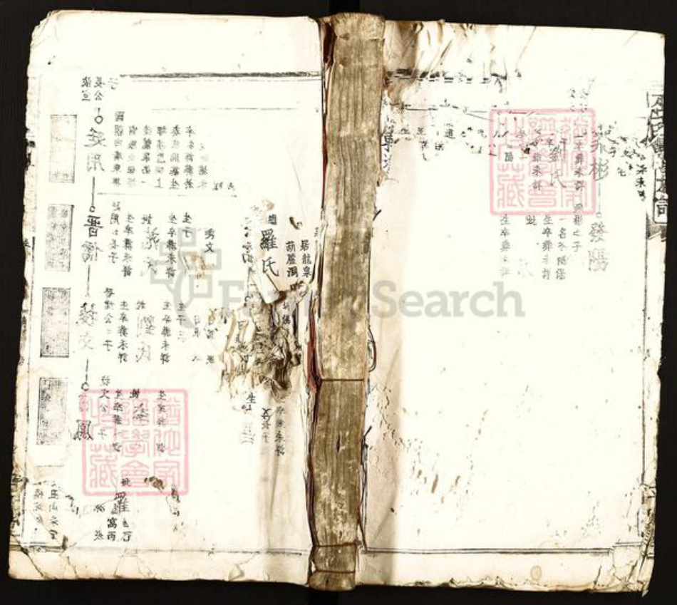 江西省吉安市遂川县泉江镇巫氏平阳堂族谱-巫氏重修族谱.pdf电子版