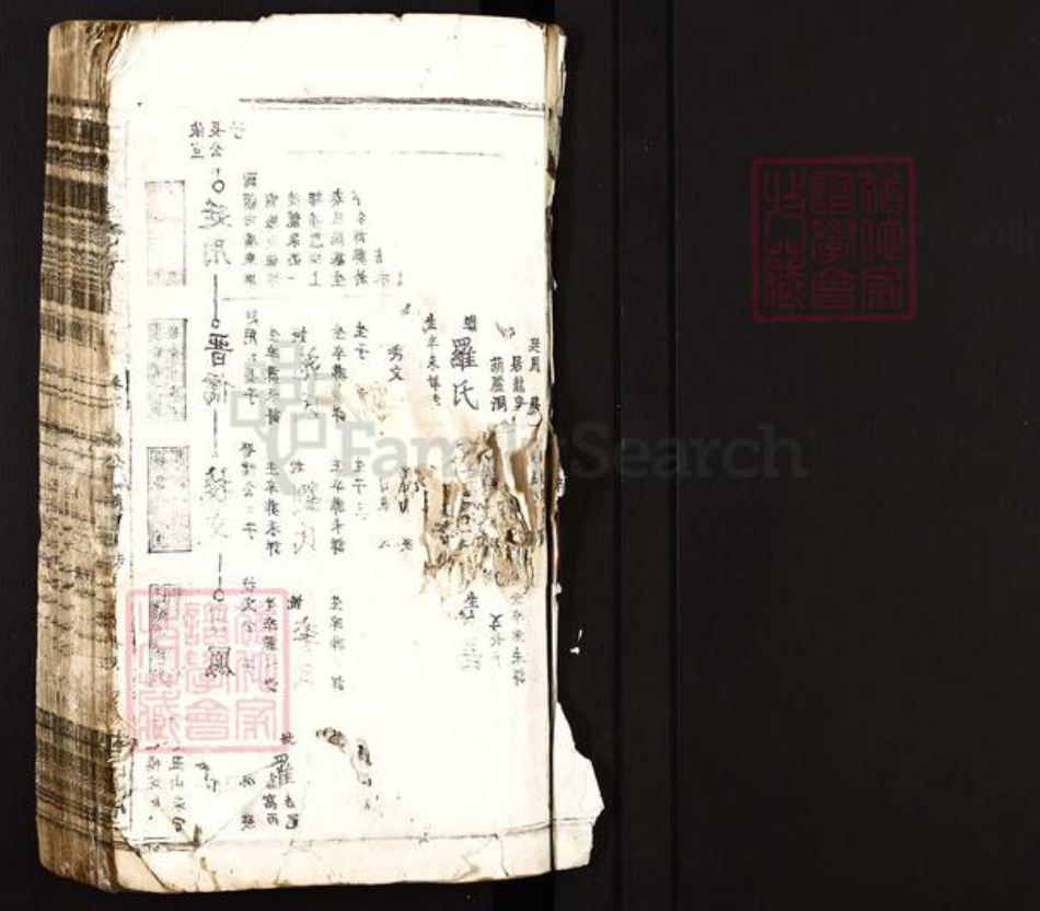 江西省吉安市遂川县泉江镇巫氏平阳堂族谱-巫氏重修族谱.pdf电子版插图1