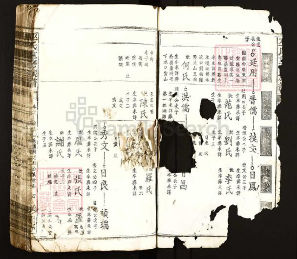 江西省吉安市遂川县泉江镇巫氏平阳堂族谱-巫氏重修族谱.pdf电子版插图2