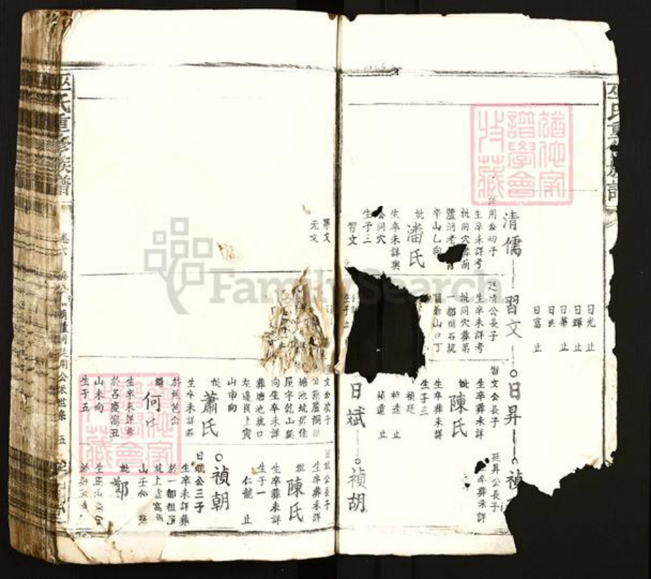 江西省吉安市遂川县泉江镇巫氏平阳堂族谱-巫氏重修族谱.pdf电子版插图3