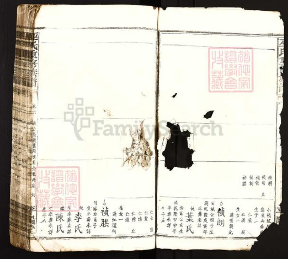 江西省吉安市遂川县泉江镇巫氏平阳堂族谱-巫氏重修族谱.pdf电子版插图4