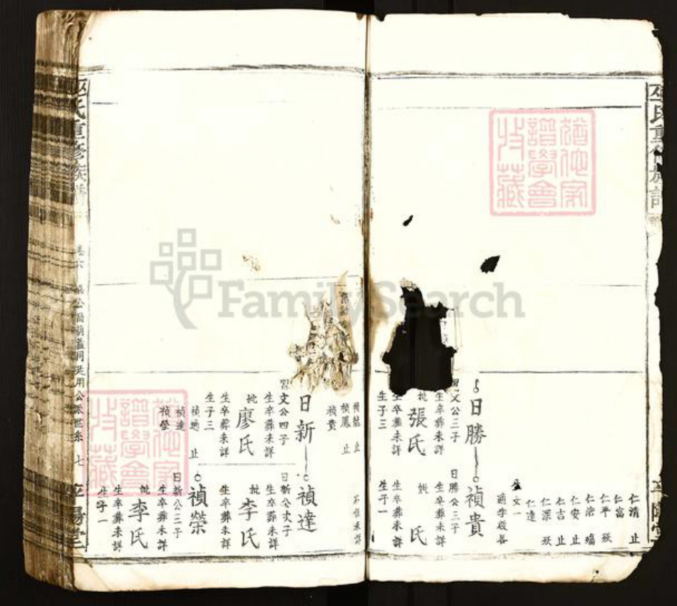 江西省吉安市遂川县泉江镇巫氏平阳堂族谱-巫氏重修族谱.pdf电子版插图5