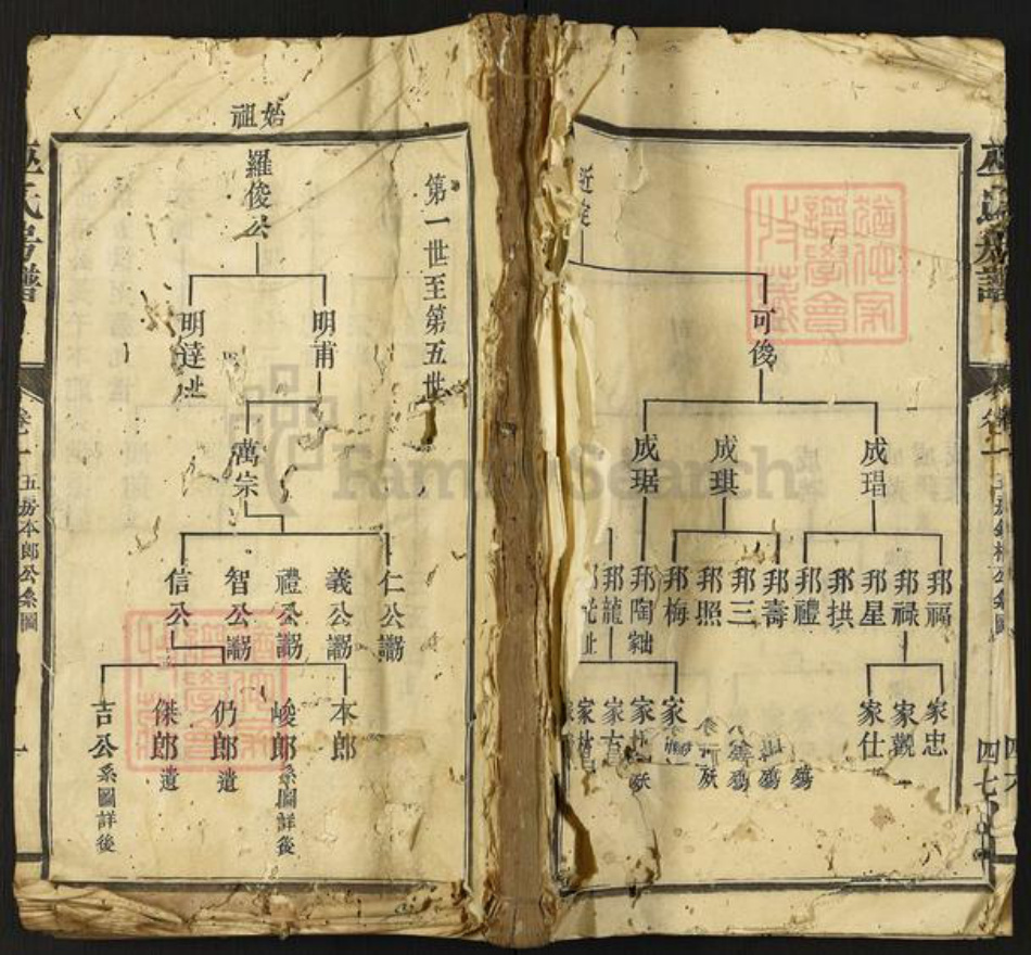 福建省三明市宁化县江西省赣州市巫氏族谱-巫氏房谱.pdf电子版