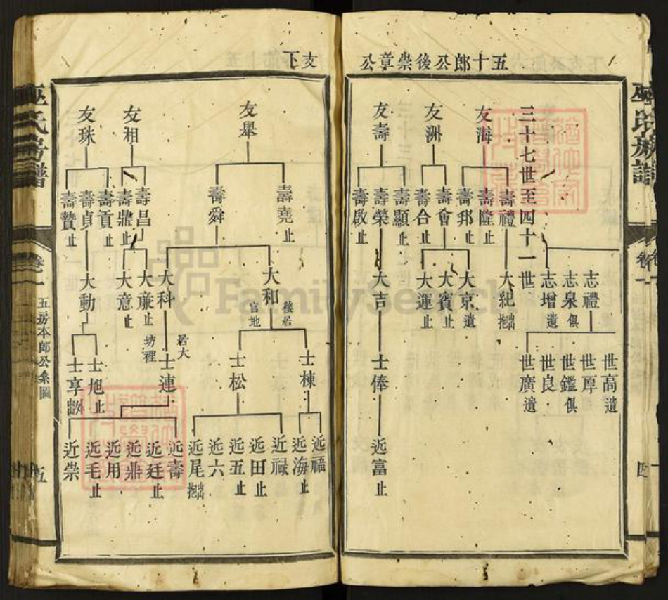 福建省三明市宁化县江西省赣州市巫氏族谱-巫氏房谱.pdf电子版插图4