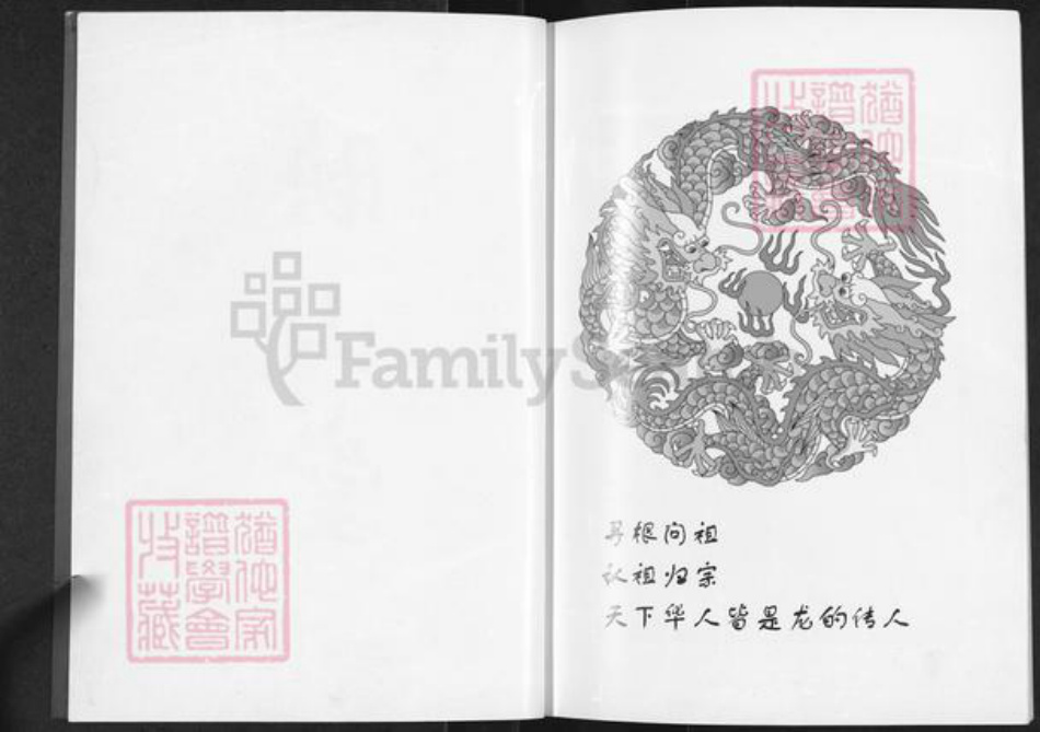 江苏省扬州市高邮市吴氏映山堂族谱-吴氏宗谱.pdf电子版插图2