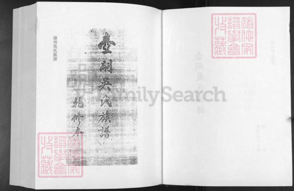 福建省漳州市漳浦县吴氏族谱-漳州吴氏族谱.pdf电子版插图2