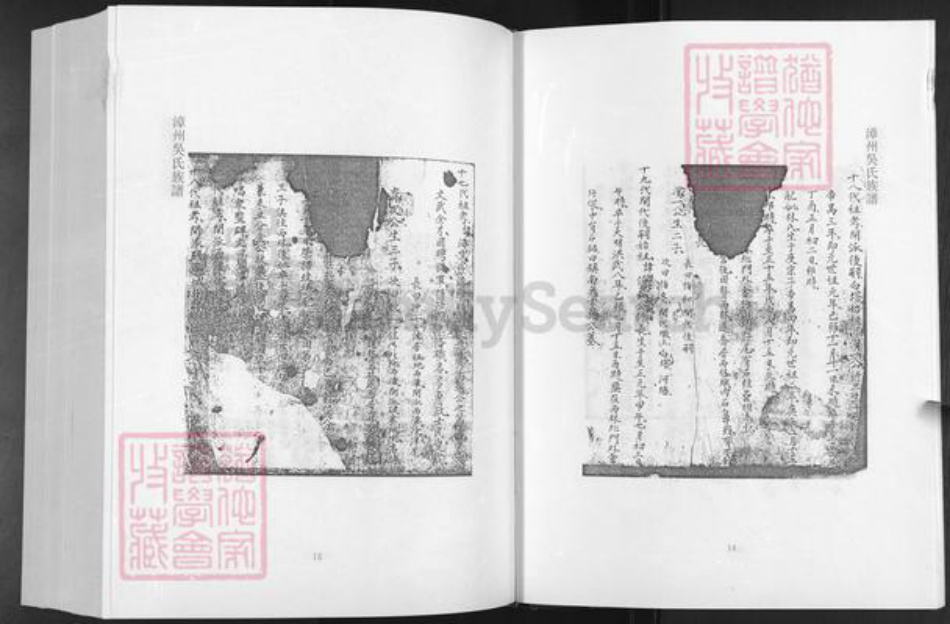 福建省漳州市漳浦县吴氏族谱-漳州吴氏族谱.pdf电子版插图5