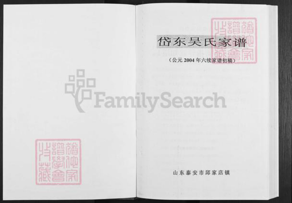 山东省泰安市泰山区吴氏族谱-岱东吴氏家谱.pdf电子版插图1