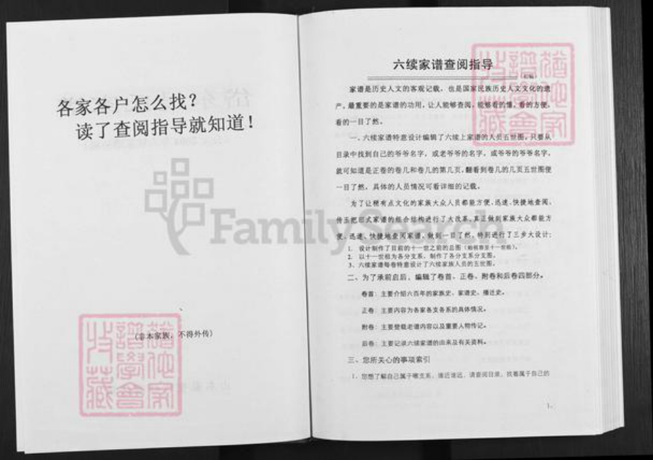 山东省泰安市泰山区吴氏族谱-岱东吴氏家谱.pdf电子版插图2