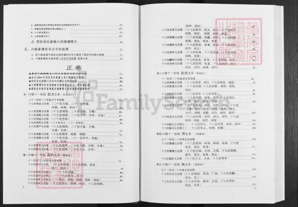 山东省泰安市泰山区吴氏族谱-岱东吴氏家谱.pdf电子版插图4