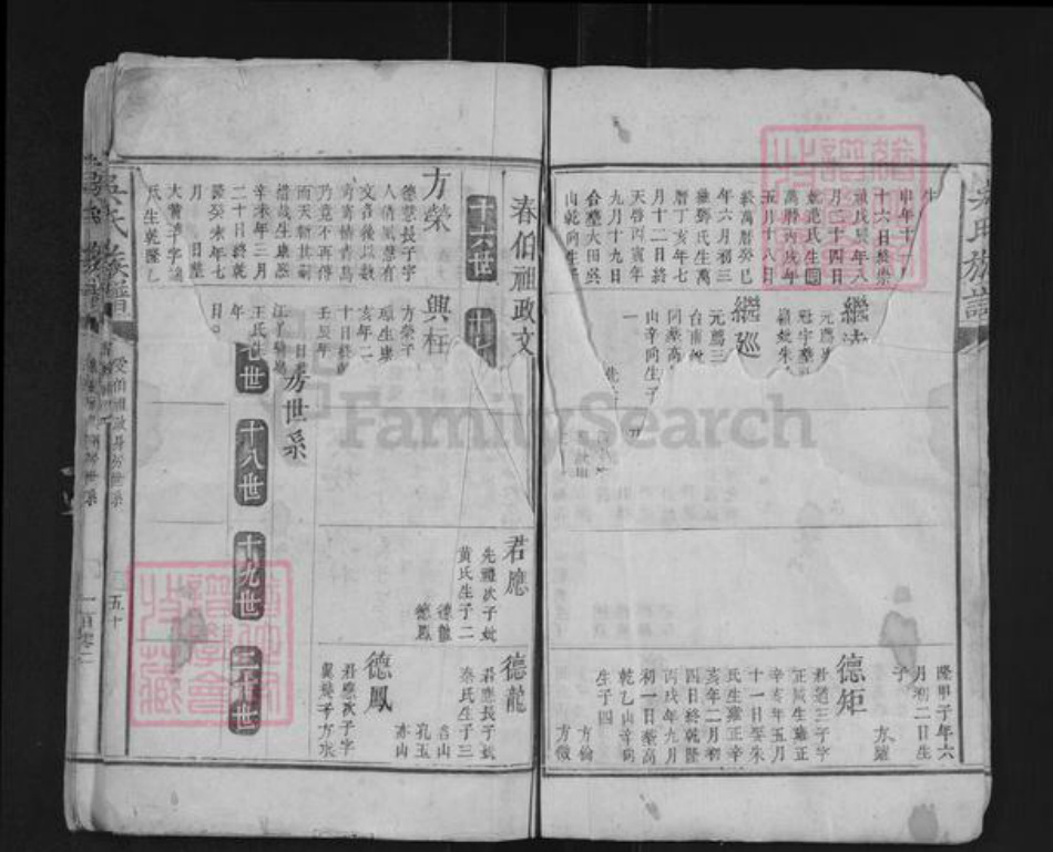 湖南省郴州市桂阳县吴氏族谱-吴氏族谱.pdf电子版插图3