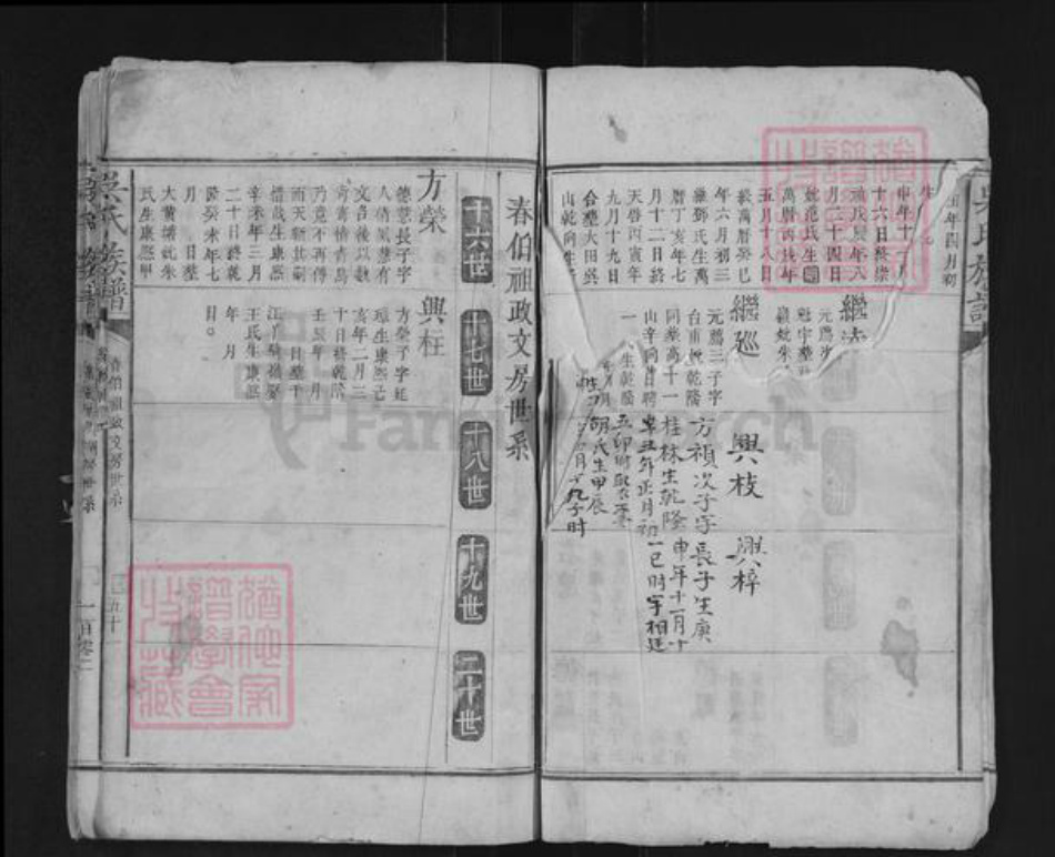 湖南省郴州市桂阳县吴氏族谱-吴氏族谱.pdf电子版插图4