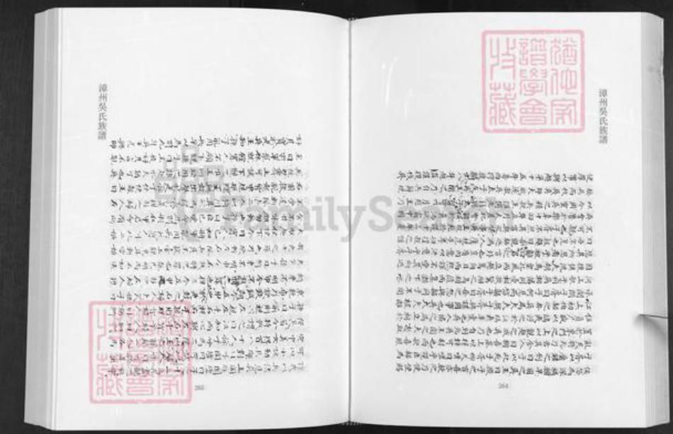 福建省漳州市南靖县金山镇吴氏怀德堂族谱-漳州吴氏族谱.pdf电子版插图4