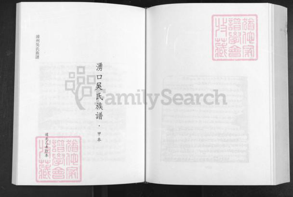 福建省漳州市南靖县龙山镇吴氏永思堂族谱-漳州吴氏族谱.pdf电子版插图1