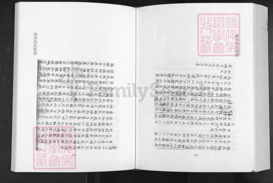 福建省漳州市南靖县龙山镇吴氏永思堂族谱-漳州吴氏族谱.pdf电子版插图3