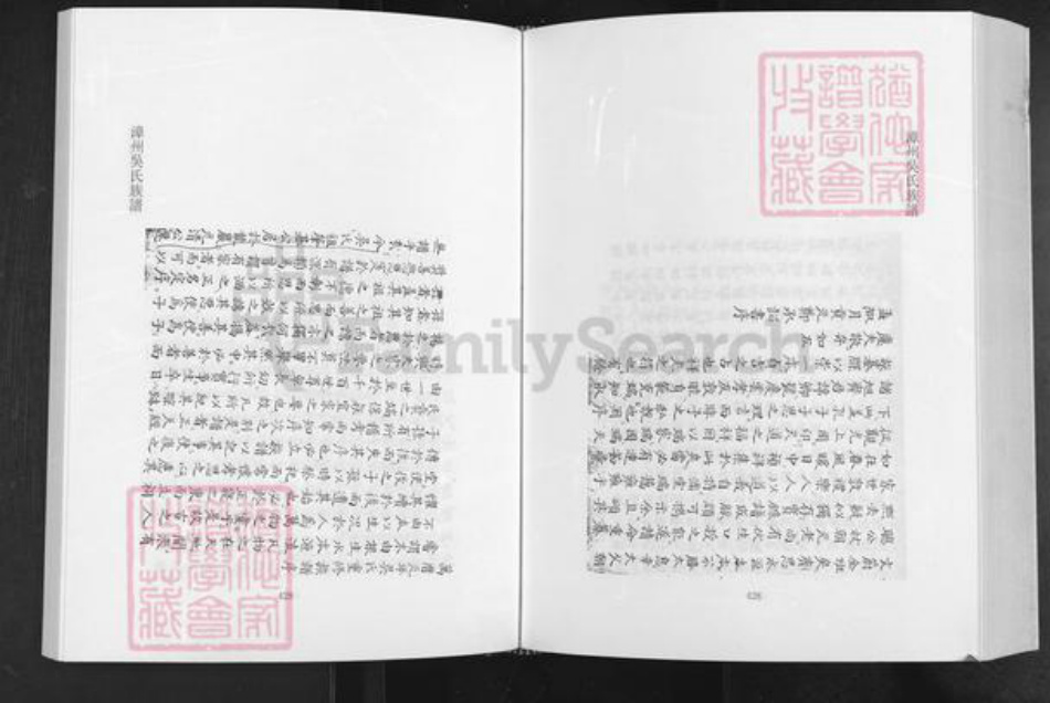 福建省漳州市南靖县龙山镇吴氏永思堂族谱-漳州吴氏族谱.pdf电子版插图4