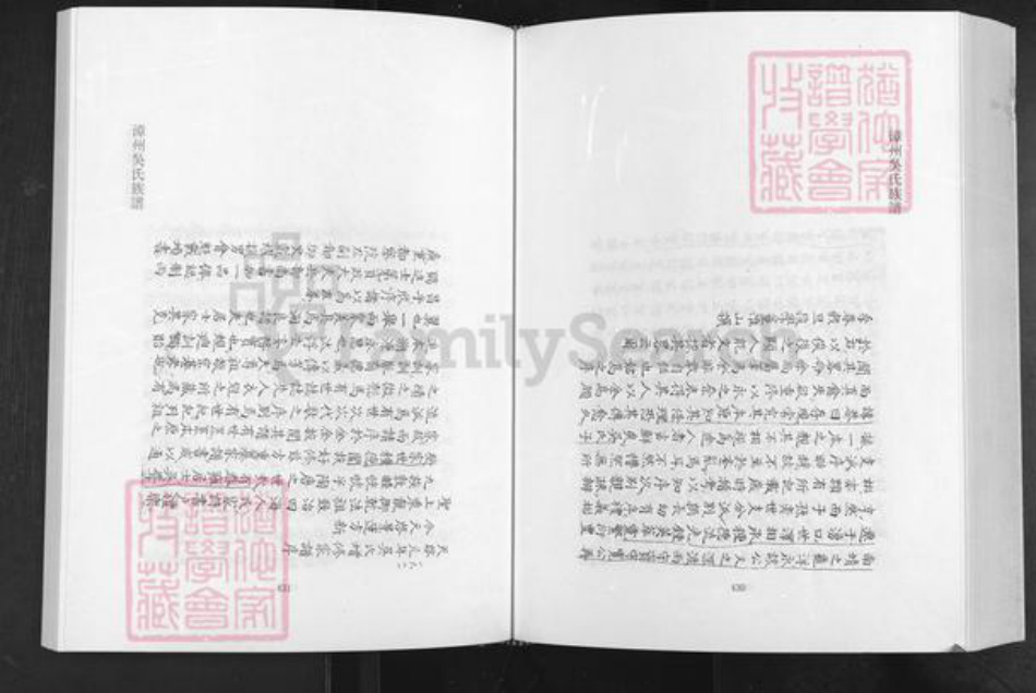 福建省漳州市南靖县龙山镇吴氏永思堂族谱-漳州吴氏族谱.pdf电子版插图5