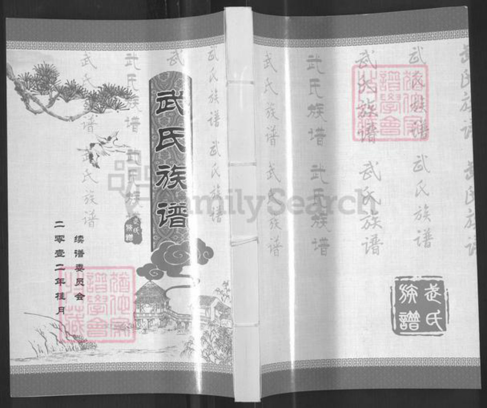 山东省济南市钢城区武氏族谱-武氏族谱.pdf电子版