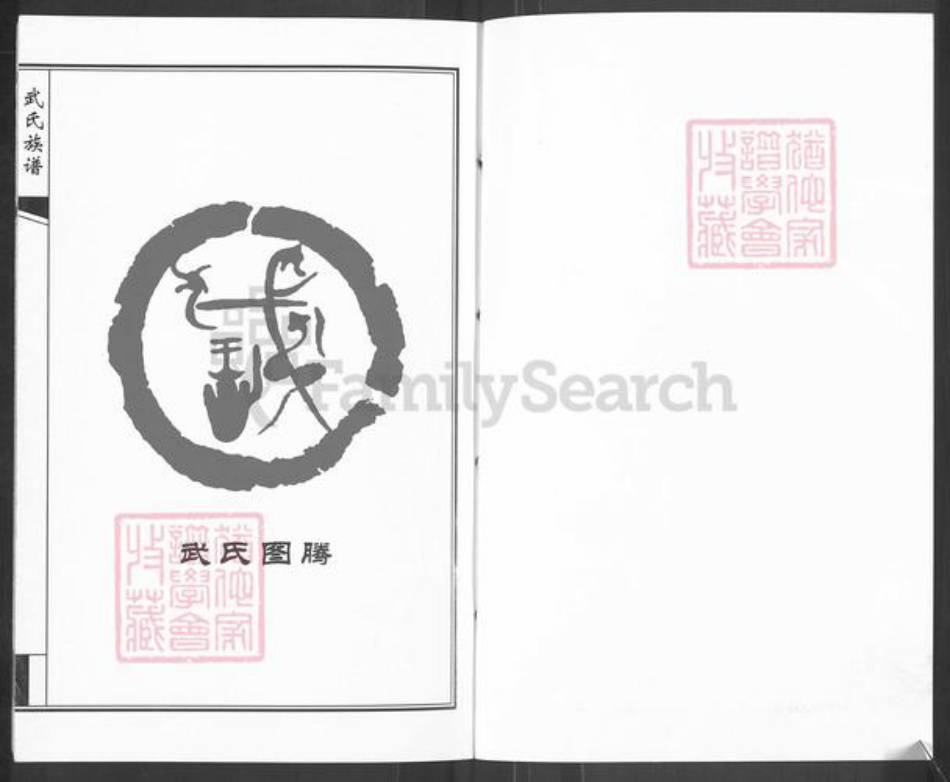 山东省济南市钢城区武氏族谱-武氏族谱.pdf电子版插图1