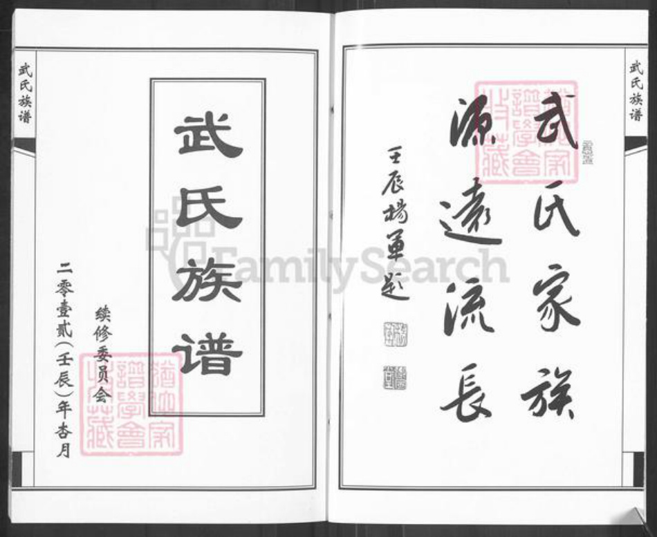 山东省济南市钢城区武氏族谱-武氏族谱.pdf电子版插图2