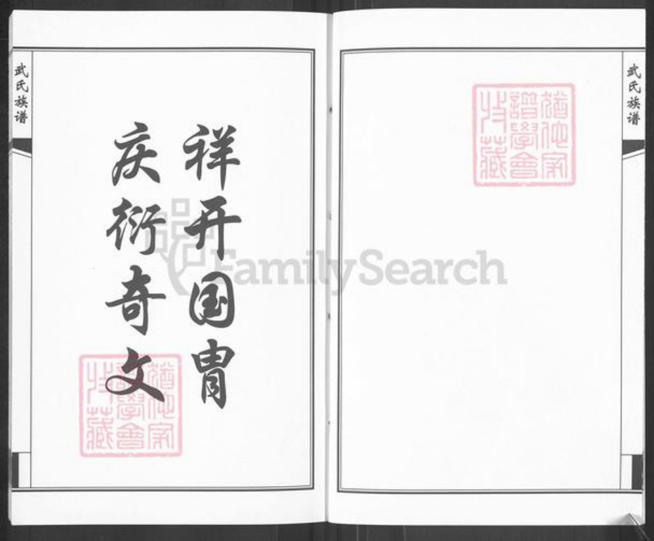 山东省济南市钢城区武氏族谱-武氏族谱.pdf电子版插图3