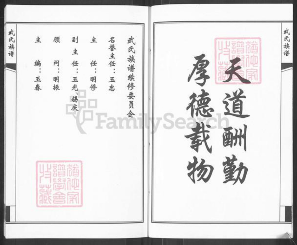 山东省济南市钢城区武氏族谱-武氏族谱.pdf电子版插图4