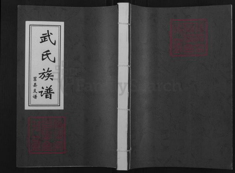 山东省临沂市沂水县武氏族谱-武氏族谱.莒县支谱.pdf电子版