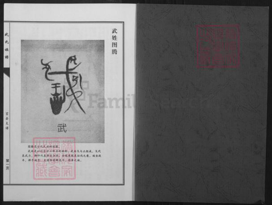 山东省临沂市沂水县武氏族谱-武氏族谱.莒县支谱.pdf电子版插图1