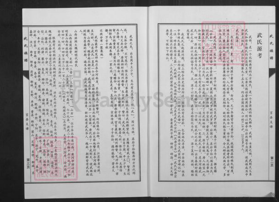 山东省临沂市沂水县武氏族谱-武氏族谱.莒县支谱.pdf电子版插图2