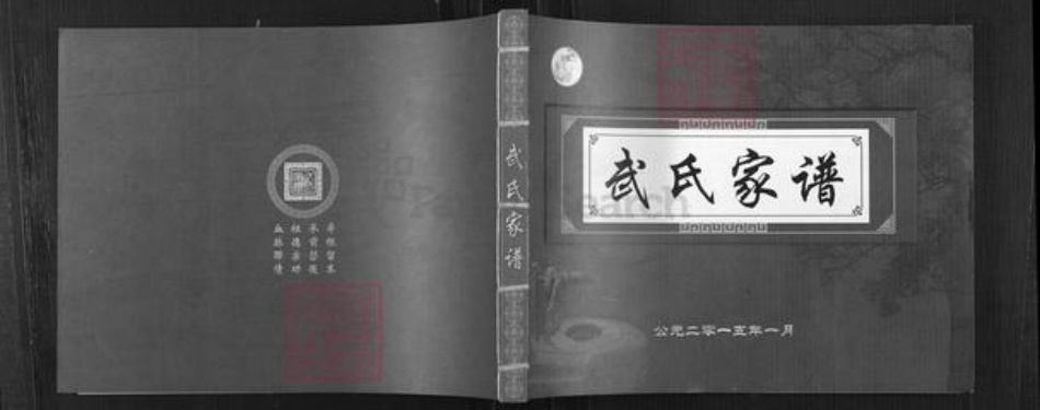 山西省太原市清徐县东于镇武氏族谱-武氏家谱.pdf电子版