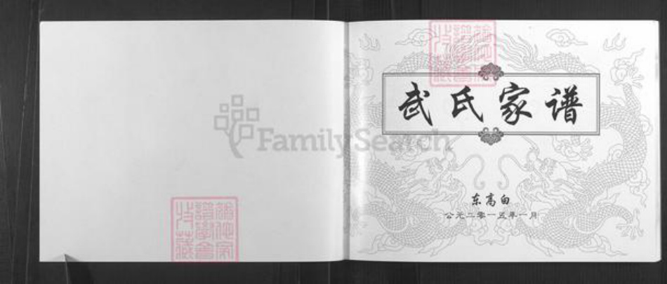 山西省太原市清徐县东于镇武氏族谱-武氏家谱.pdf电子版插图1