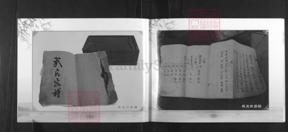 山西省太原市清徐县东于镇武氏族谱-武氏家谱.pdf电子版插图4