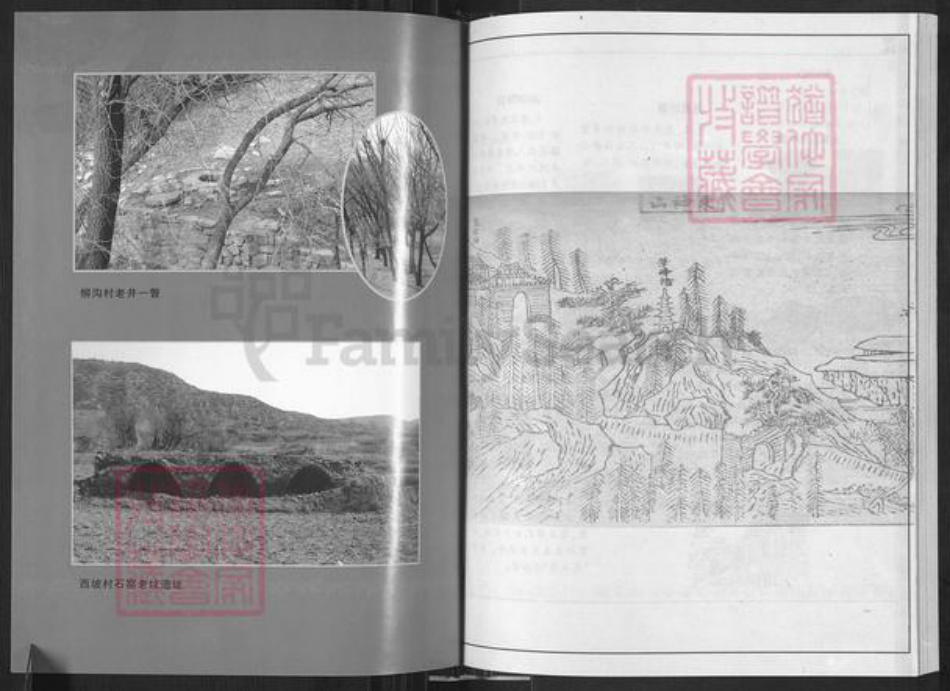 山西省临汾市蒲县古县乡席氏族谱-蒲县席氏家谱.pdf电子版插图5 山西省临汾市蒲县古县乡席氏族谱-蒲县席氏家谱.pdf电子版插图5