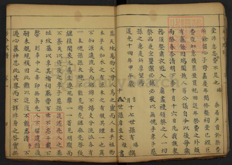 湖北省黄冈市罗田县大崎镇夏氏族谱-夏氏巽初支谱.pdf电子版插图5