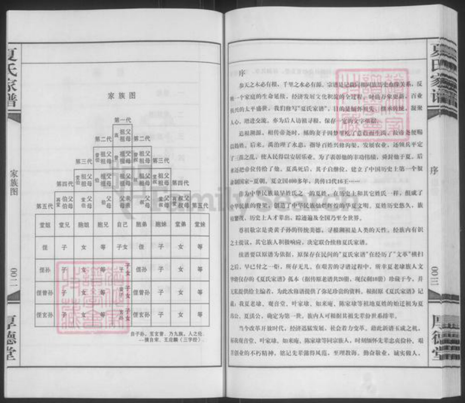江苏省泰州市靖江市夏氏厚德堂族谱-夏氏家谱.pdf电子版插图4