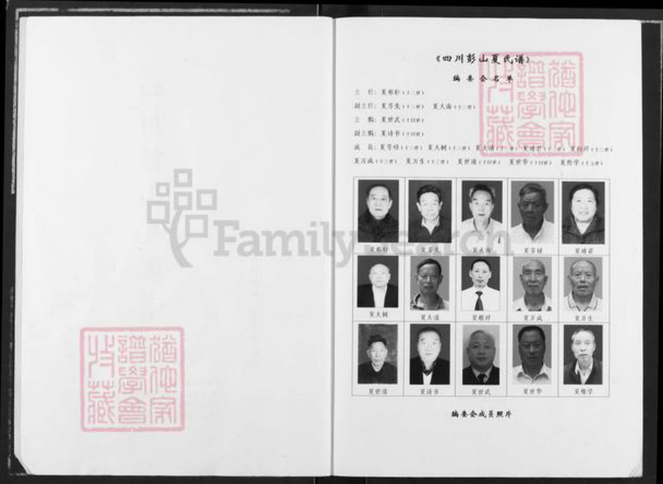 四川省眉山市彭山区夏氏秘书堂族谱-四川彭山夏氏谱.pdf电子版插图2